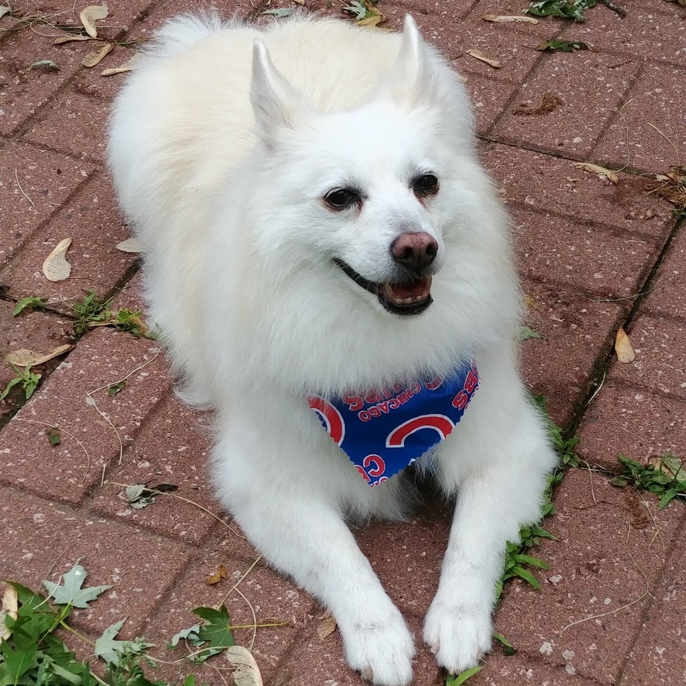 Meet your Posher, Kelly